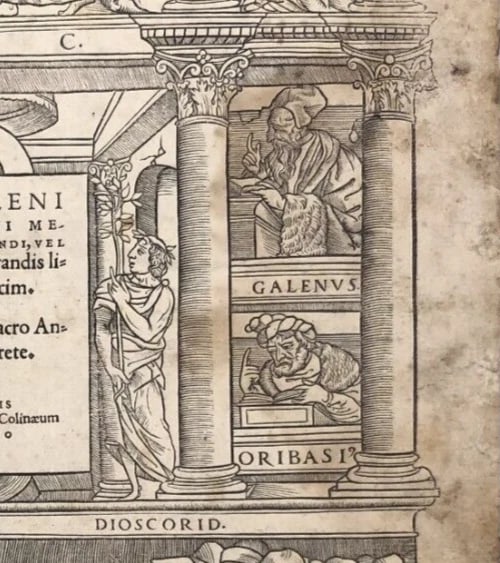 Antique Etching Original Frontispiece of the Methodus Medendi - 7