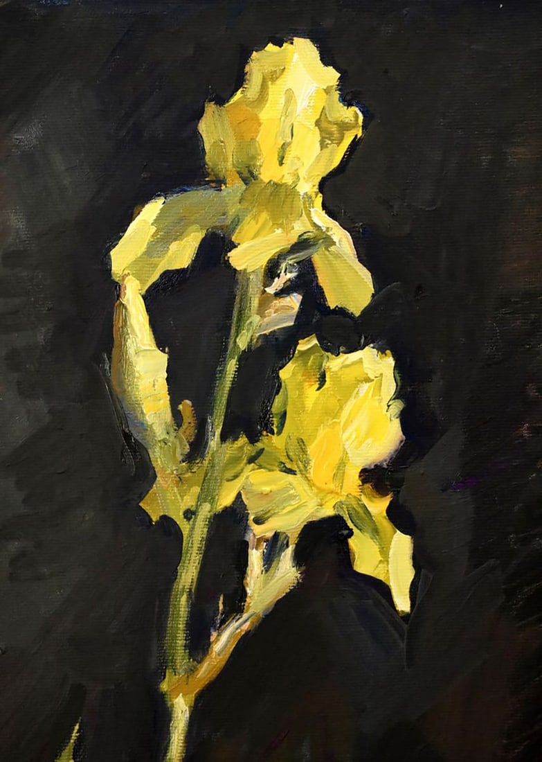 Oil painting Irises on a black background Anatoly Kymnatny - 2
