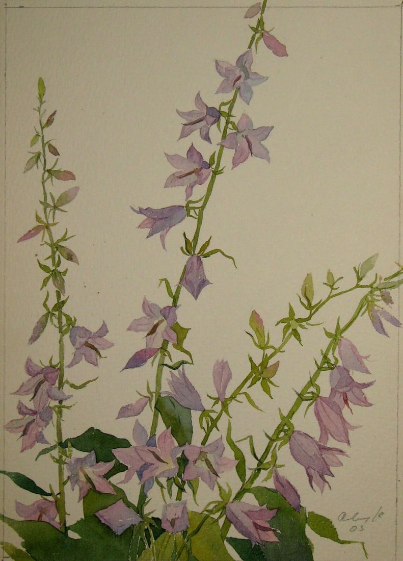 Watercolor painting Bells Kalebets Valery: Sav 249 *** ABOUT THIS PAINTING *** * TITLE: "Bells" * ARTISTS: Kalebets Valery * SIZE: -x- cm/-x- inches' * MEDIUM: watercolor, paper * HAND PAINTED: Original painting from our collection *