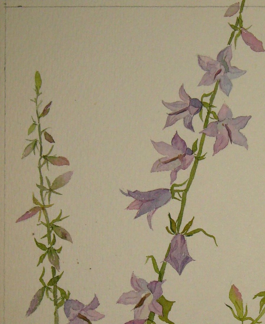 Watercolor painting Bells Kalebets Valery - 2