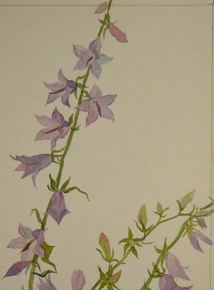 Watercolor painting Bells Kalebets Valery - 3
