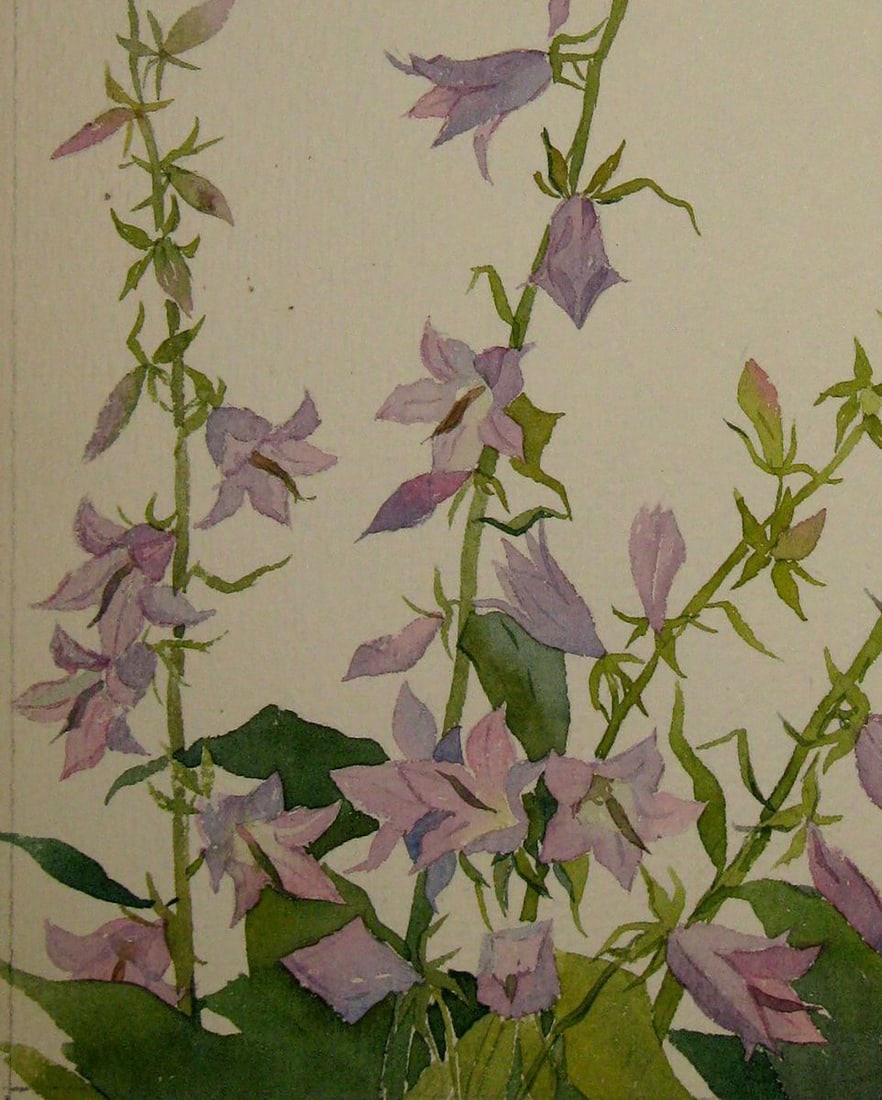 Watercolor painting Bells Kalebets Valery - 4