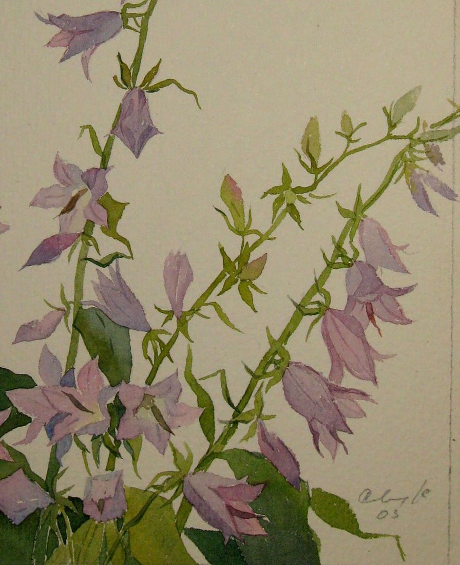 Watercolor painting Bells Kalebets Valery - 5