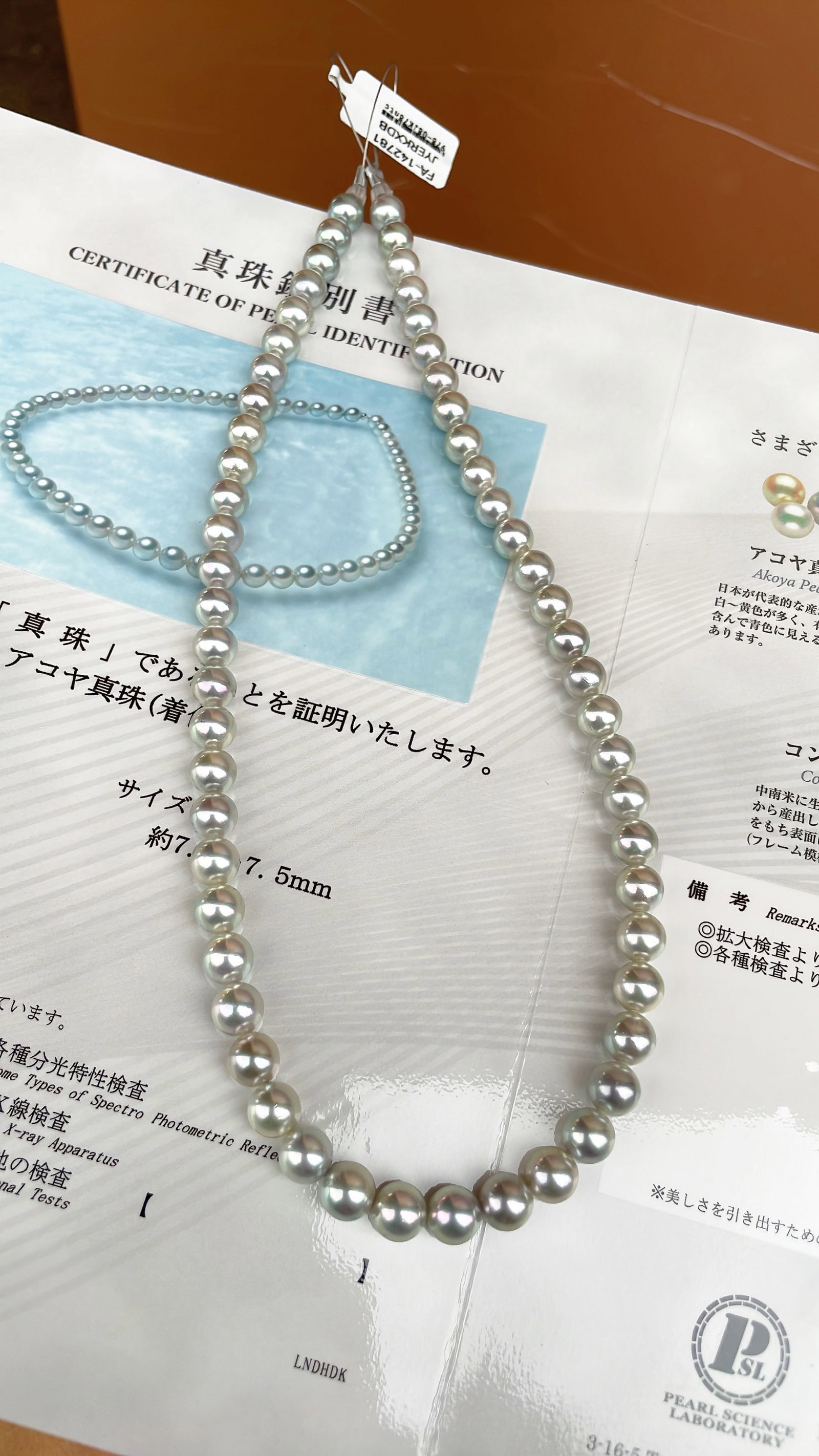 Seawater Pearl Necklace - 2