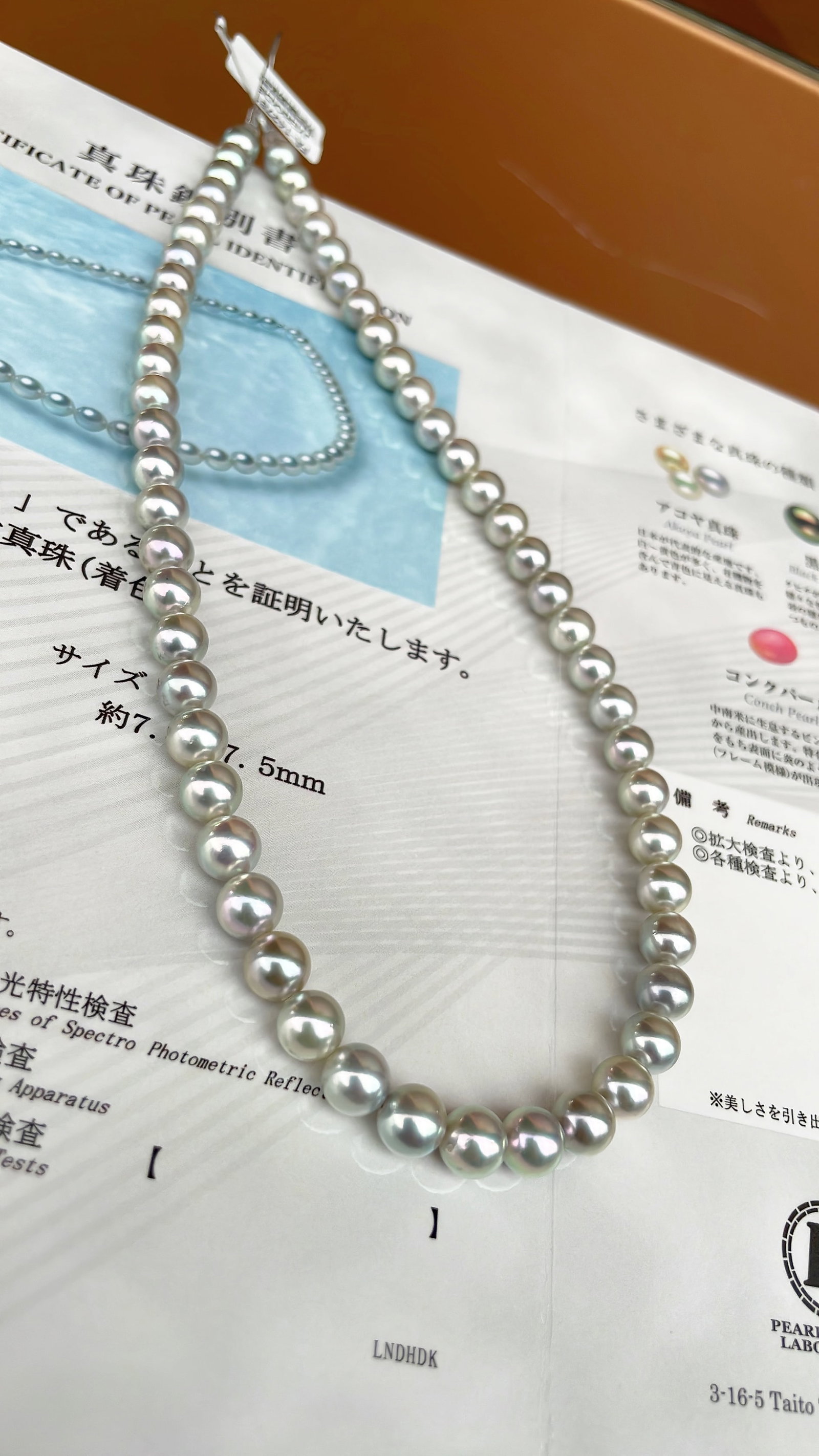 Seawater Pearl Necklace - 3