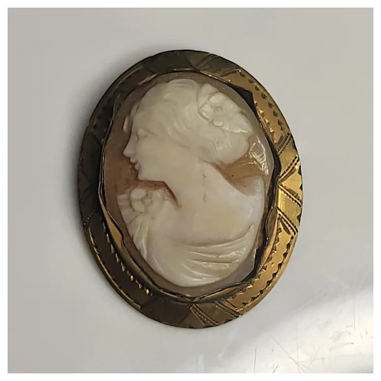 Vintage Cameo Pin/Pendant/Brooch - 2