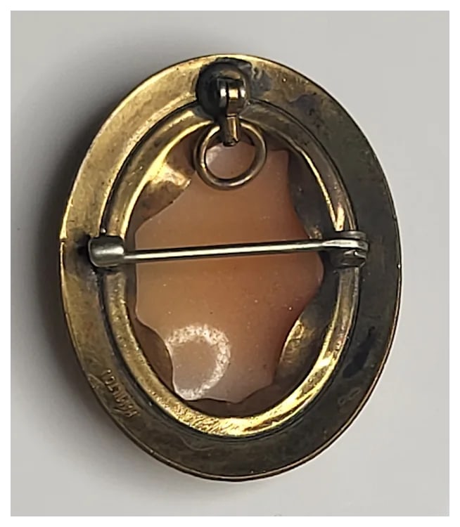 Vintage Cameo Pin/Pendant/Brooch - 3