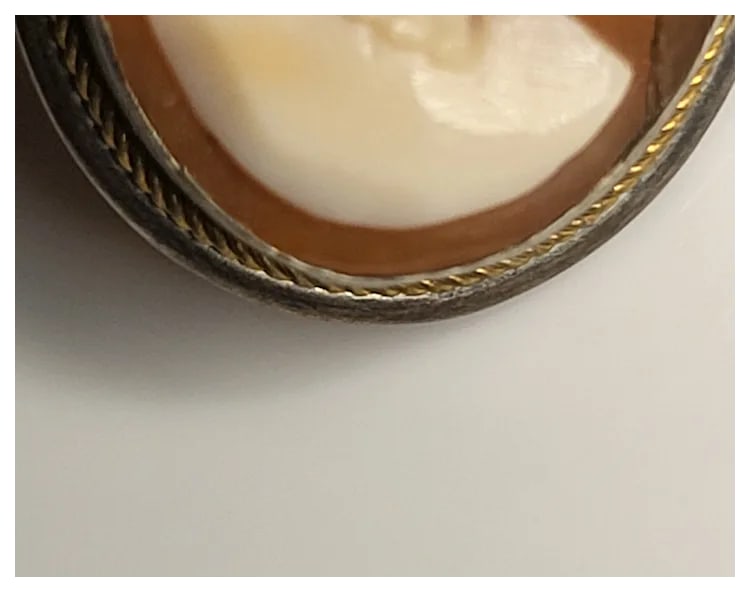 Vintage Shell Cameo Screw-Back Earrings - 5