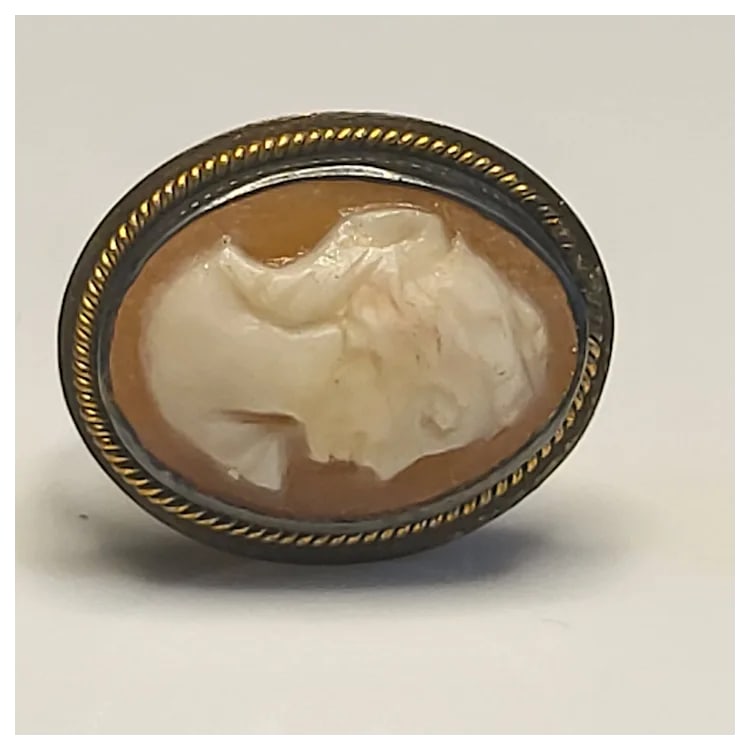 Vintage Shell Cameo Earrings - 4