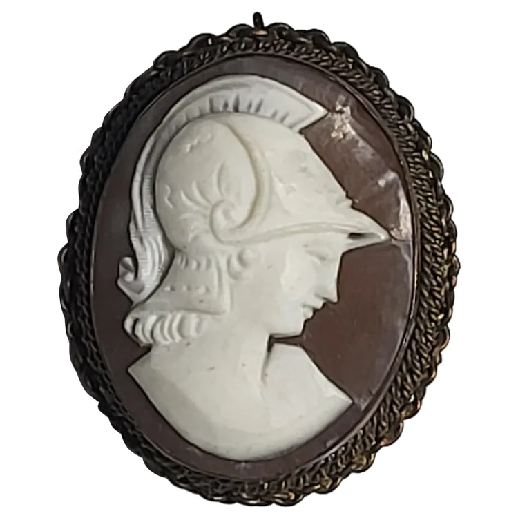 Vintage Shell Cameo Pendant/ Brooch (1 of 5)