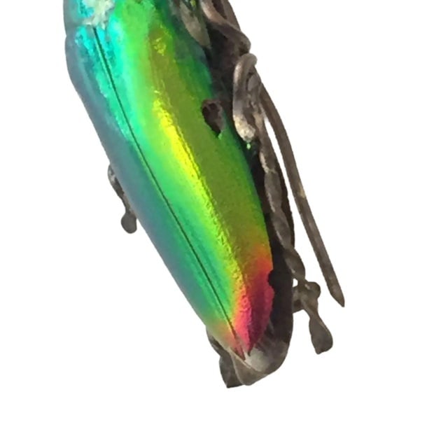 Circa 1900 Egyptian Revival Beetle Brooch - 3
