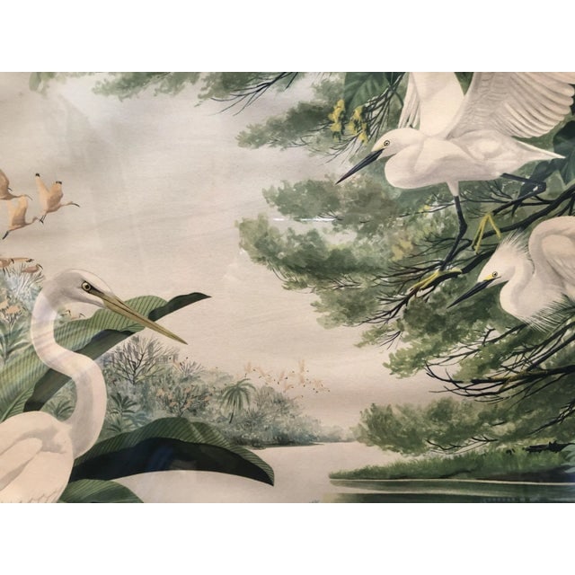 1940s Post-War Tropical Cranes Print in Original Frame - 2