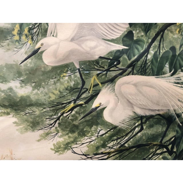 1940s Post-War Tropical Cranes Print in Original Frame - 3