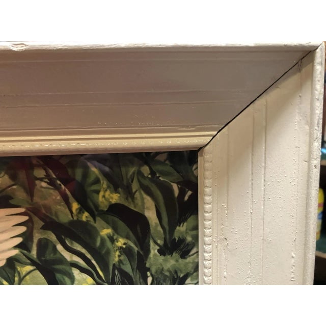 1940s Post-War Tropical Cranes Print in Original Frame - 5
