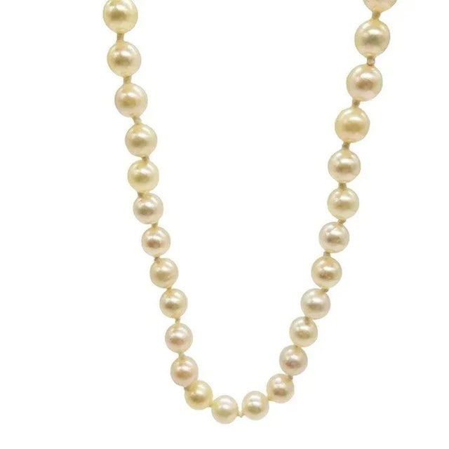 Mid-Century South Sea Roud Pearl Choker Necklace on Silk Cord W/ Silver Clasp - 3