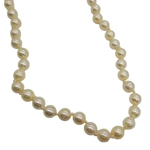 Mid-Century South Sea Roud Pearl Choker Necklace on Silk Cord W/ Silver Clasp - 4