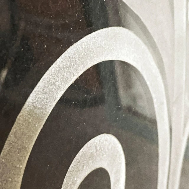 Hand Etched Organic Patterned Art Deco Door, Circa 1920 - 7