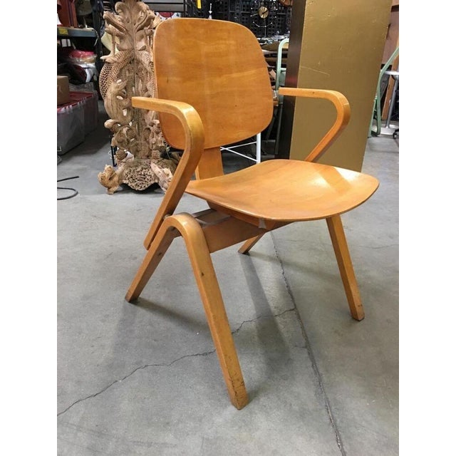 1950s Attributed to Joe Atkinson for Thonet Plywood Armchairs - Set of 5 - 8