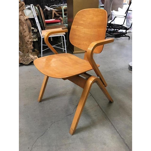 1950s Attributed to Joe Atkinson for Thonet Plywood Armchairs - Set of 5 - 9