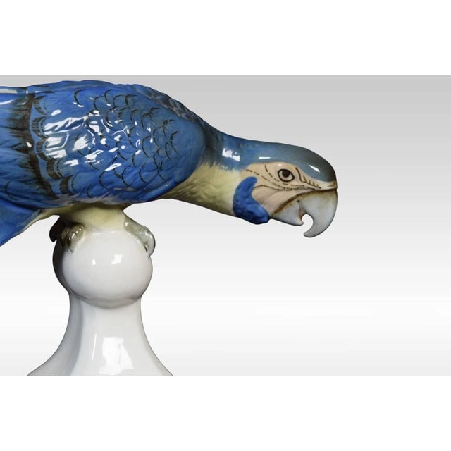 Mid Century Tropical Ceramic Blue Macaw by Royal Dux - 2