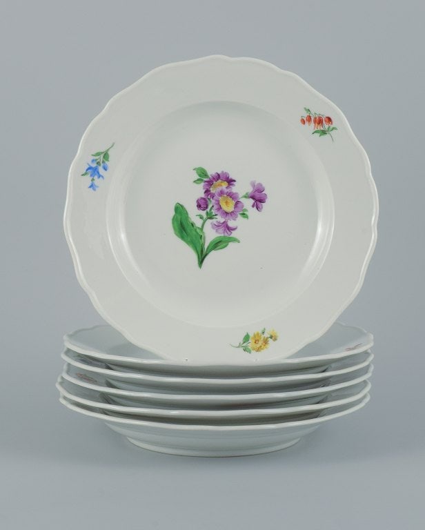 Meissen, Germany, six dinner plates hand painted with floral motifs in different colors. (1 of 9)