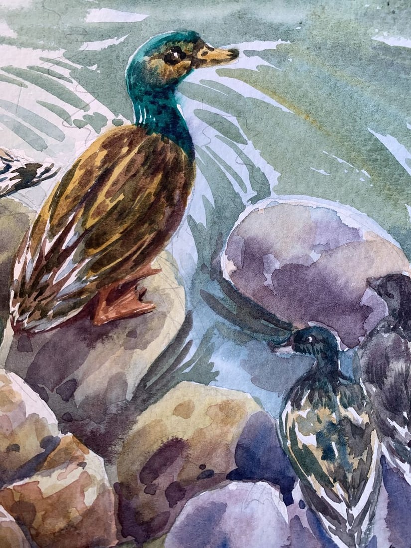 Watercolor painting Ducks by the pond Svetlana Gramm - 8