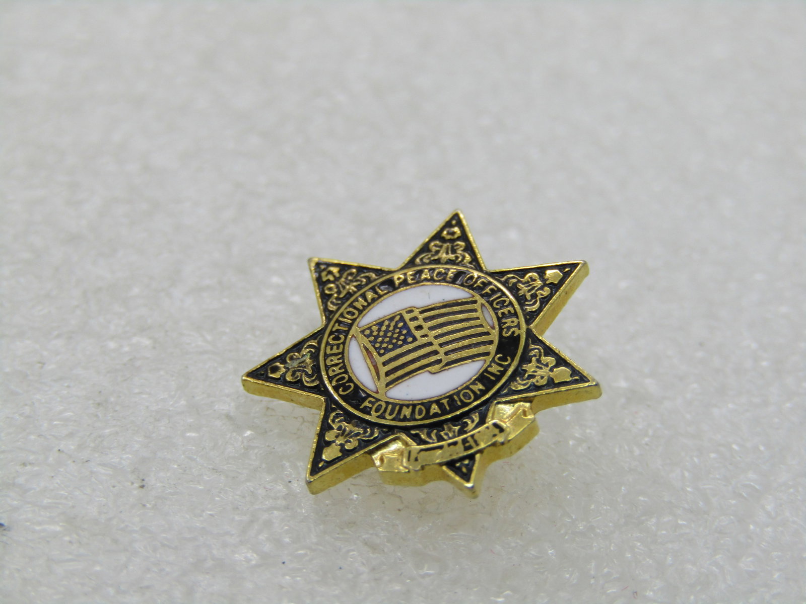 Vintage Correctional Peace Officer Enameled Tack Pin - 2