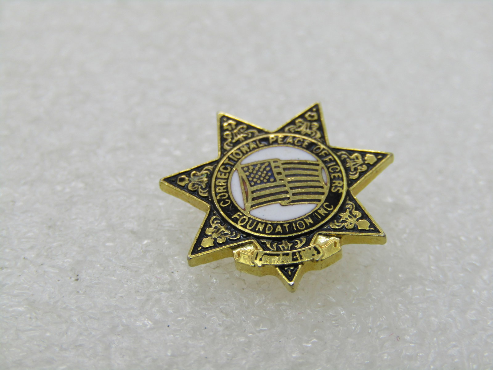Vintage Correctional Peace Officer Enameled Tack Pin - 4
