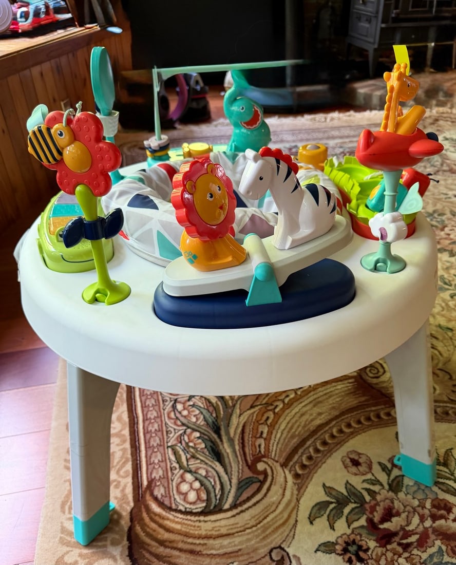 Fisher-Price Animal-Themed Activity Center - 2