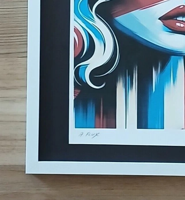 AIDAN FLUX | Hand Signed Authentic Print Framed |COA | American Woman - 3