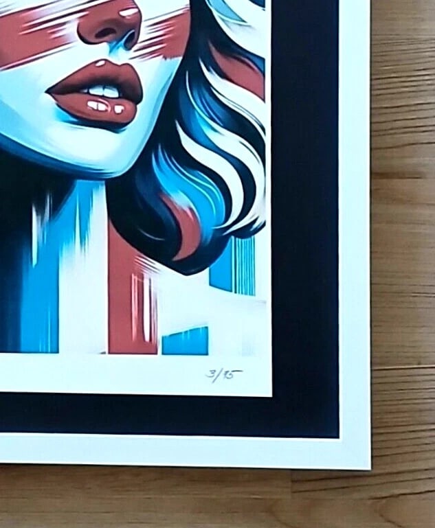 AIDAN FLUX | Hand Signed Authentic Print Framed |COA | American Woman - 4
