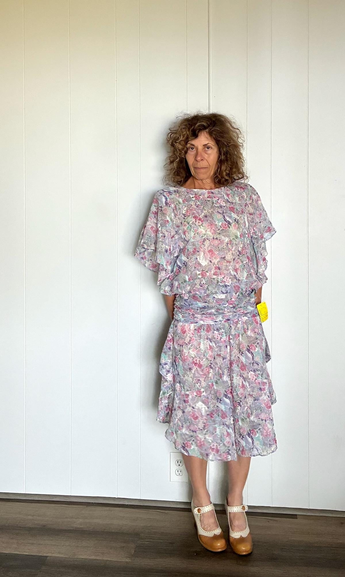 Vintage 1980s Drop Waist 20s Style Chiffon Dress Sz S M (1 of 10)