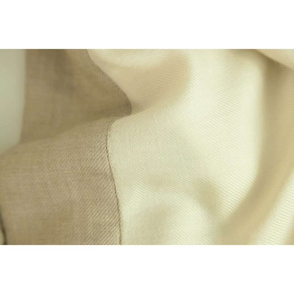 AGNONA Cream & Beige Cashmere & Silk Rectangular Large Scarf Shawl Pasmina - 3
