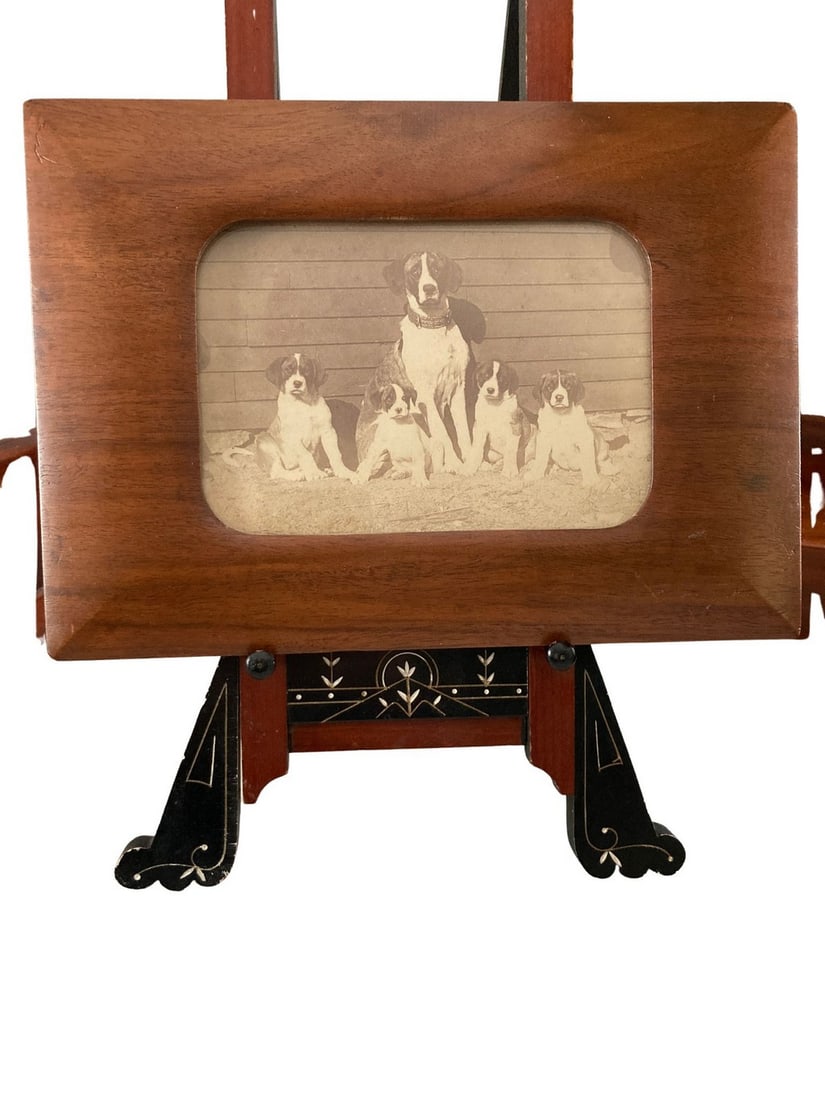 Framed Photograph of Dog with Puppies c. 1900 (1 of 4)