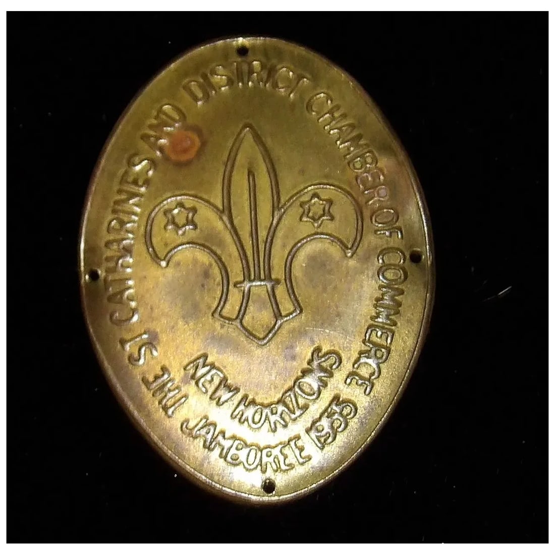 1955 8th World Jamboree Niagara Canada New Horizons Souvenir Staff Badge - 2