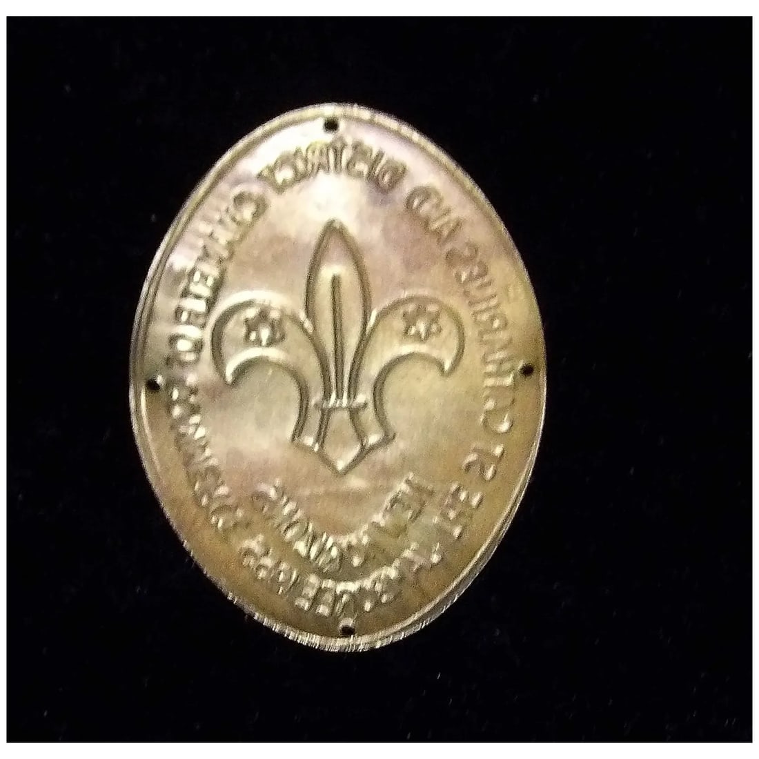 1955 8th World Jamboree Niagara Canada New Horizons Souvenir Staff Badge - 3