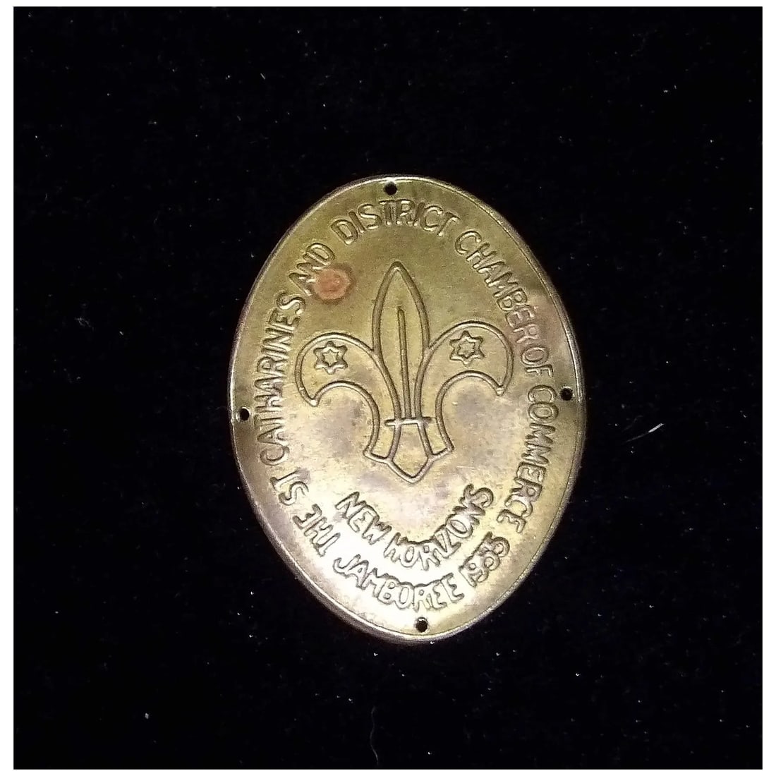1955 8th World Jamboree Niagara Canada New Horizons Souvenir Staff Badge - 4