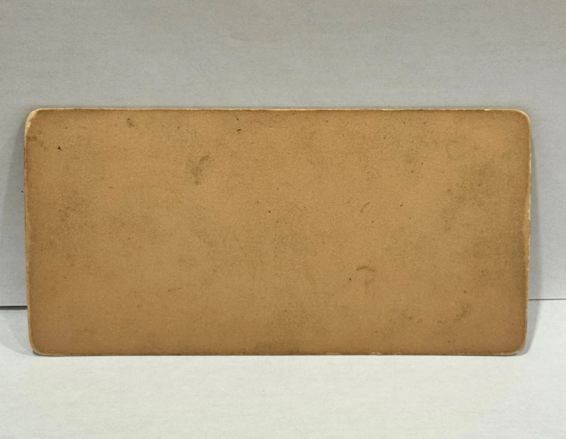 Patriotic Uncle Sam's Fourth 1897 Stereo View American Flags - 3