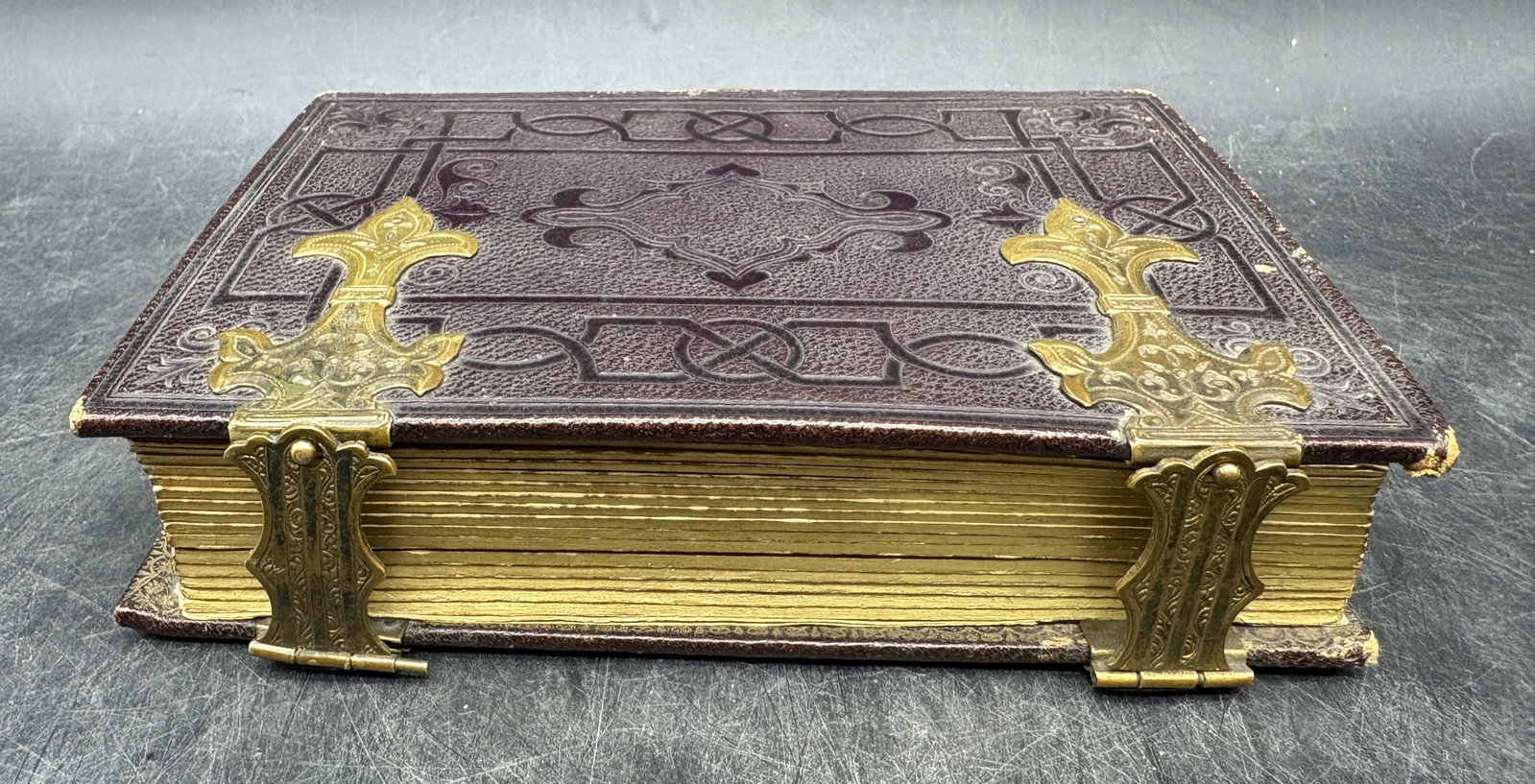 Antique Photo Album Including Carte de Visite Photographs - 6