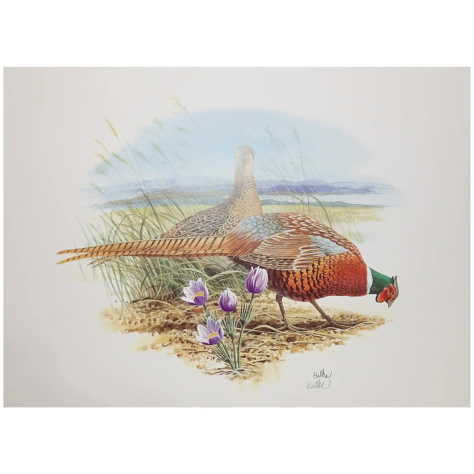 Vintage Don Balke Print of Pheasants 1991 Fleetwood Cheyenne Wyoming U.S.A. 38146A - 2