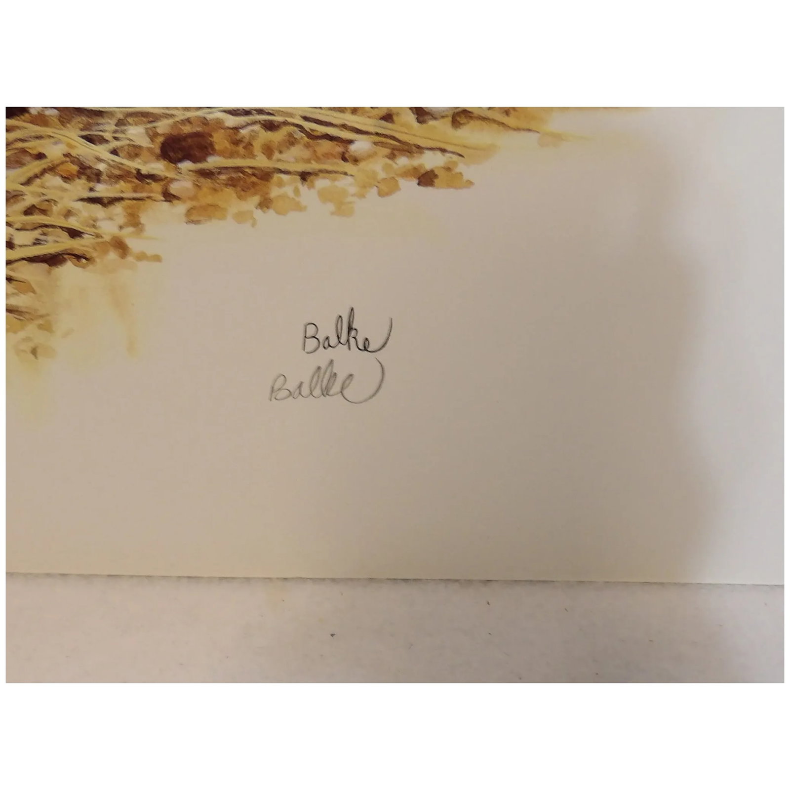 Vintage Don Balke Print of Pheasants 1991 Fleetwood Cheyenne Wyoming U.S.A. 38146A - 4