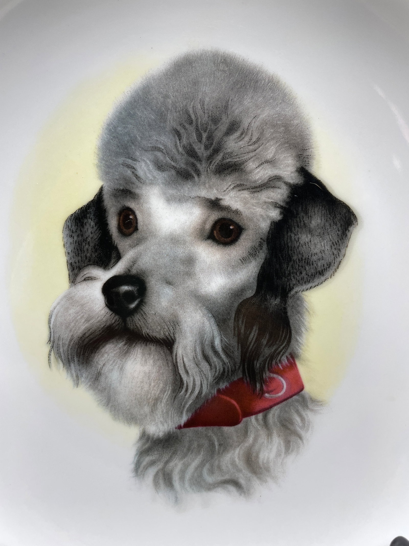 Retro 1950's Poodle Plate USA - 2