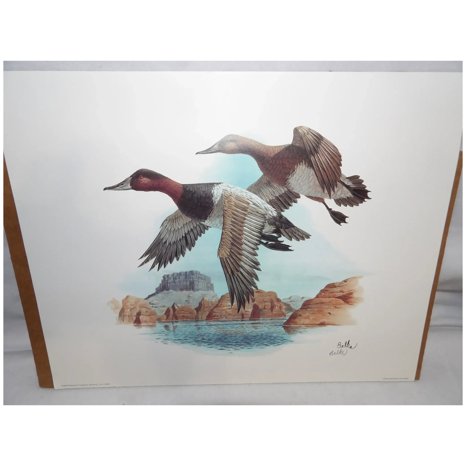 Vintage Don Balke Prints of Ducks 1994 & 1998 Fleetwood Cheyenne Wyoming U.S.A. 38507 & 38247 - 2