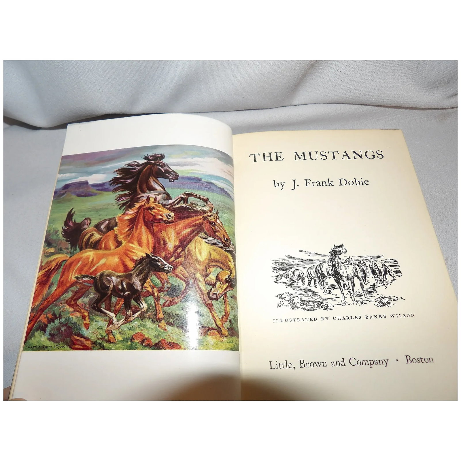 1952 The Mustangs by J. Frank Dobie First Edition - 4