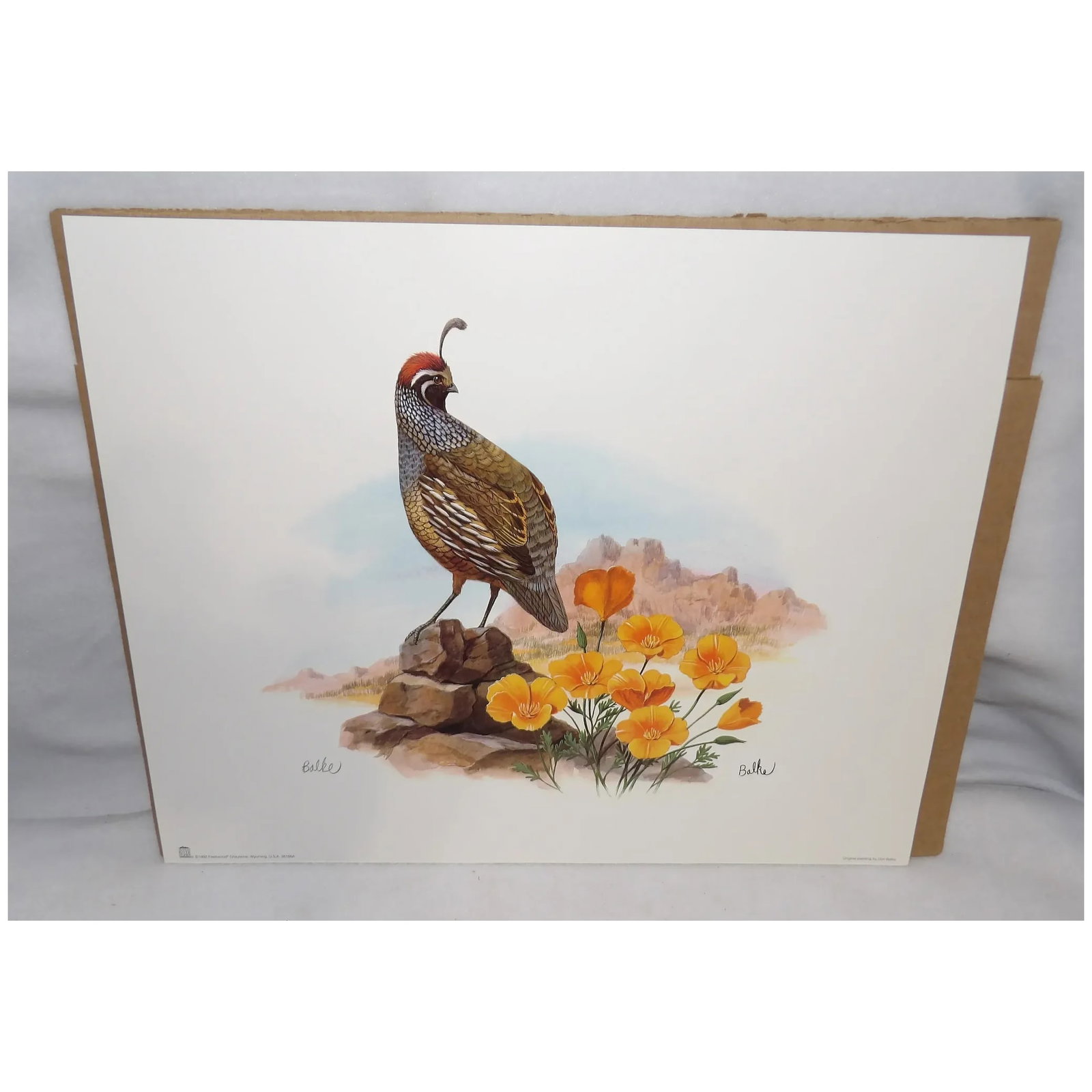 Vintage Don Balke Print of Quail 1992 Fleetwood Cheyenne Wyoming U.S.A. 38166A - 3