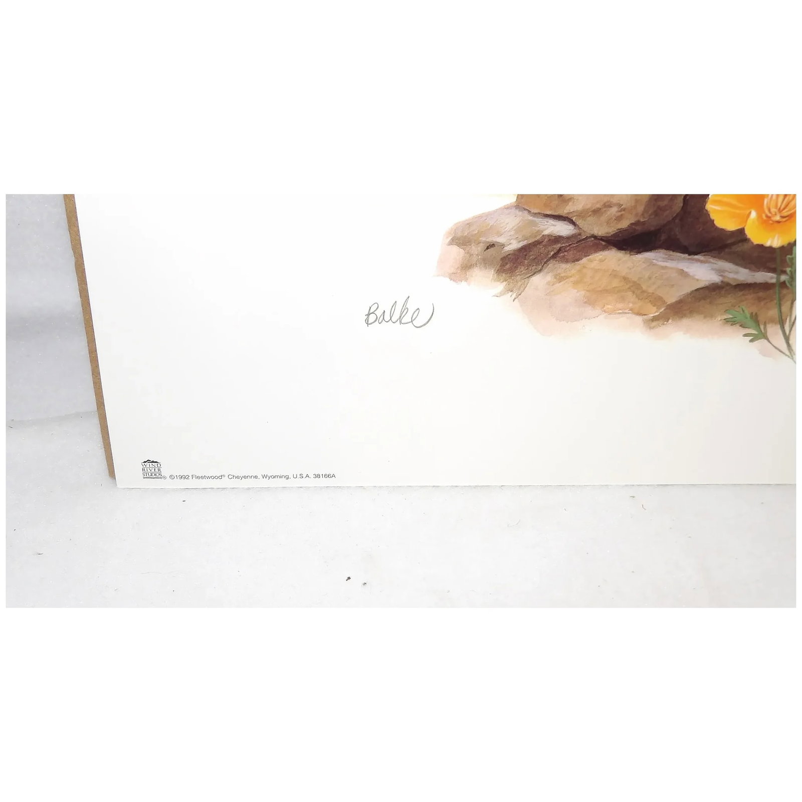 Vintage Don Balke Print of Quail 1992 Fleetwood Cheyenne Wyoming U.S.A. 38166A - 4