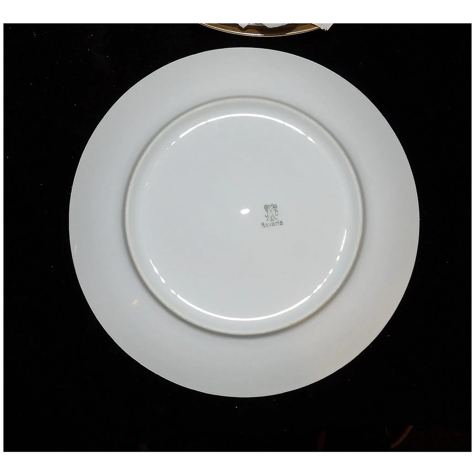 Antique J & C Bavaria Luncheon and Dessert Plates Jaeger & Co - 8