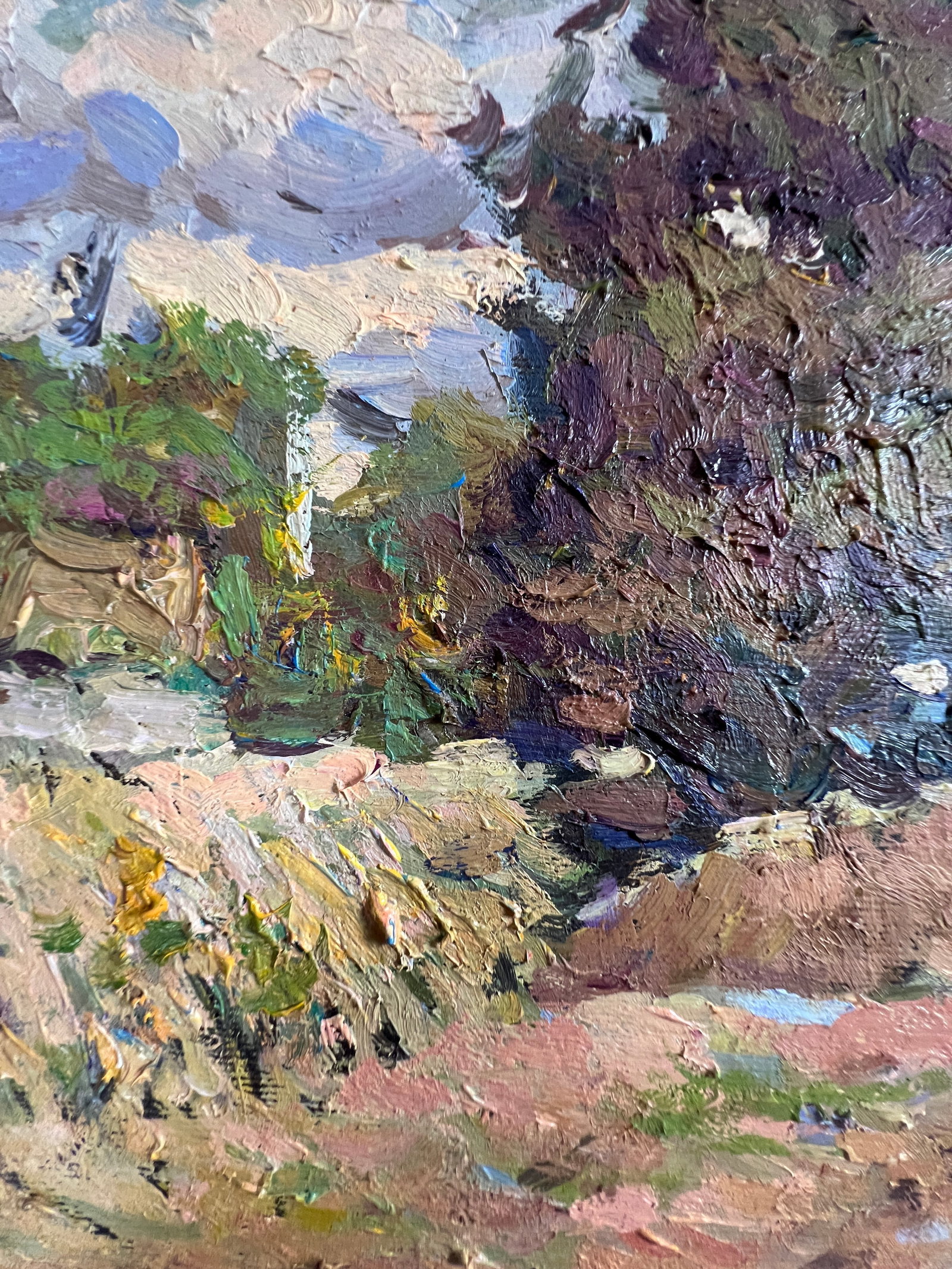 Oil painting village yard Sergey Ivanovich Animov - 3