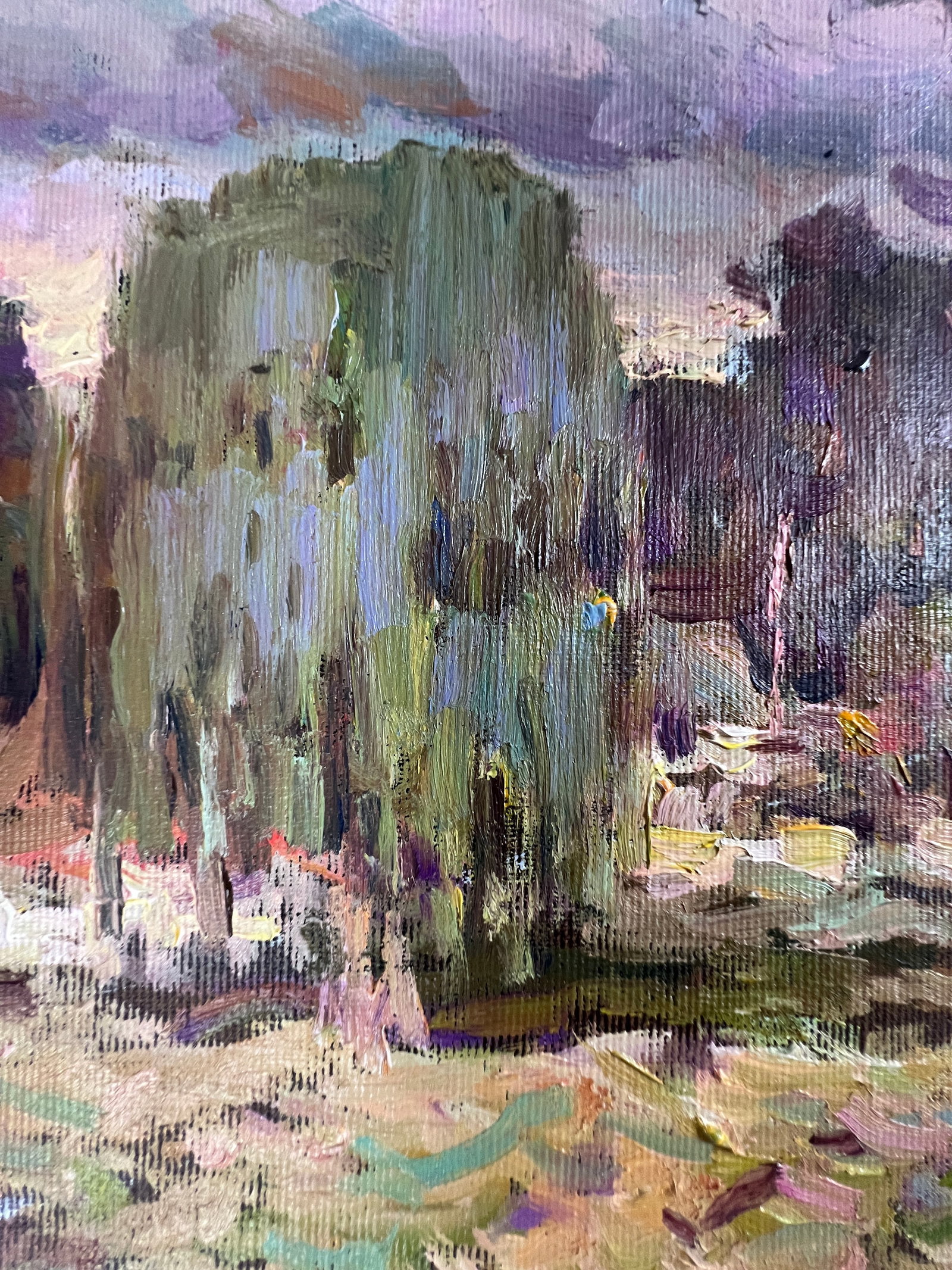 Oil painting village vegetable garden Sergey Ivanovich Animov - 4