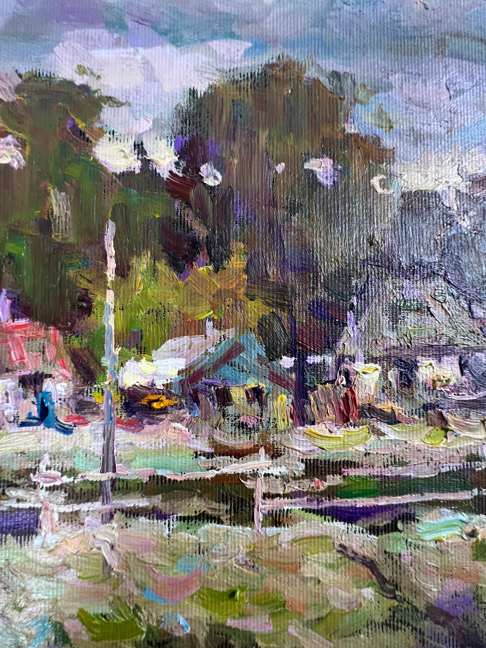 Oil painting village vegetable garden Sergey Ivanovich Animov - 7